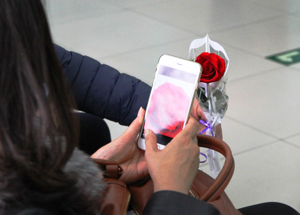 一位候诊患者在用手机拍摄玫瑰花